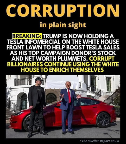 djt_meme-127.jpg