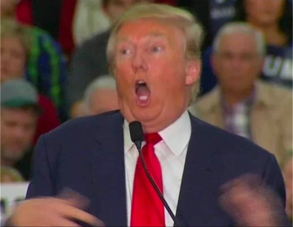 djt_meme-187.jpg