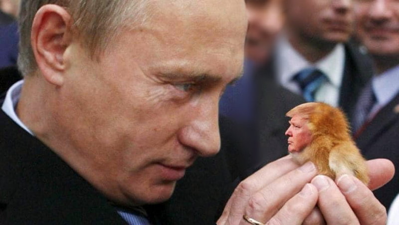 djt_meme-197.jpg