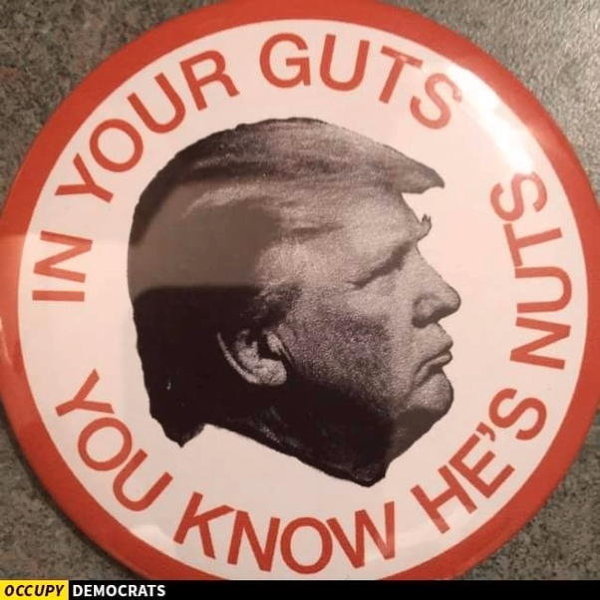 djt_meme-21.jpg