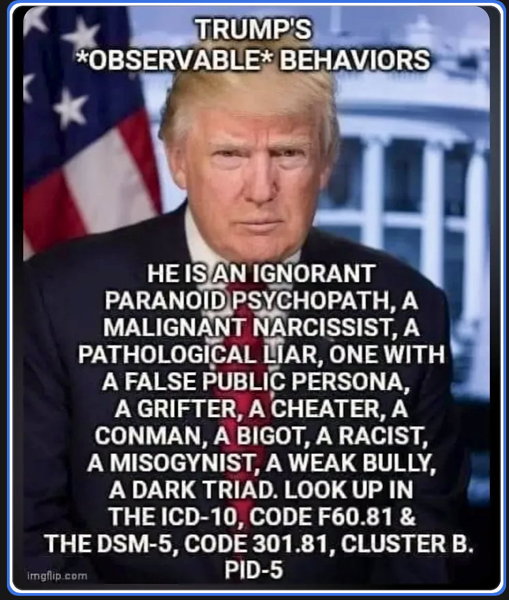 djt_meme-230.jpg
