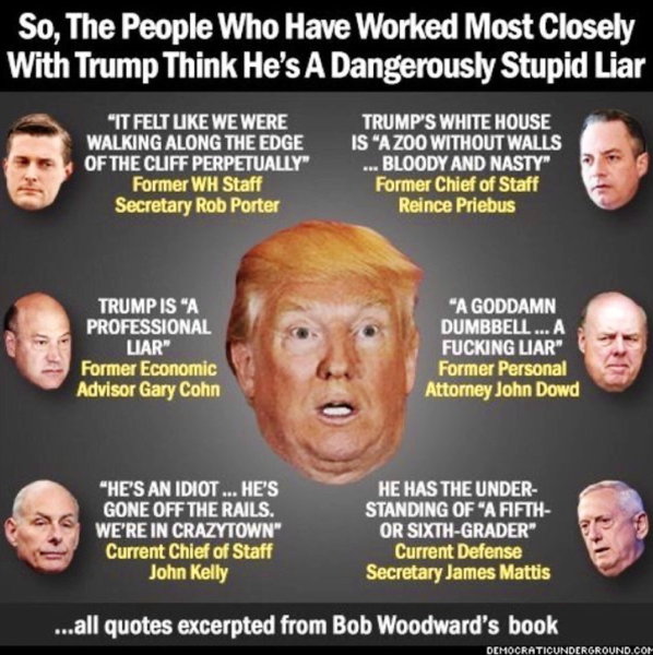 djt_meme-234.jpg