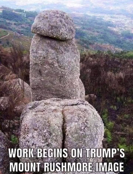 djt_meme-248.jpg