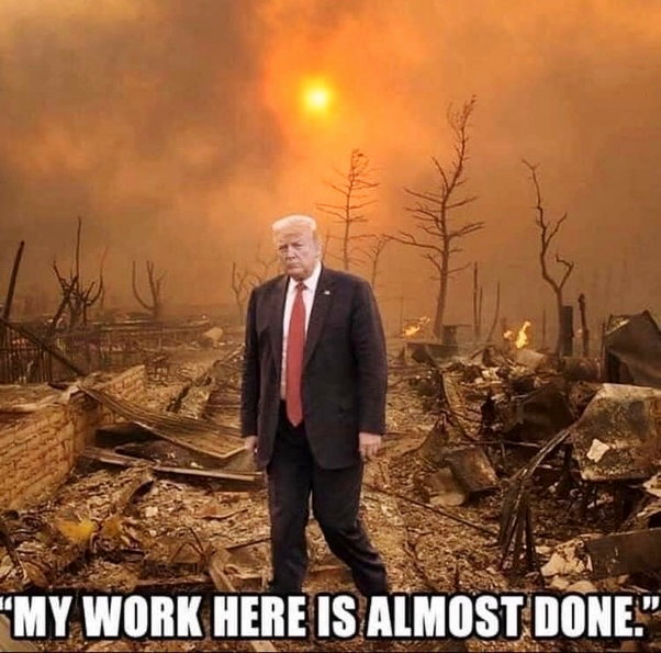 djt_meme-257.jpg