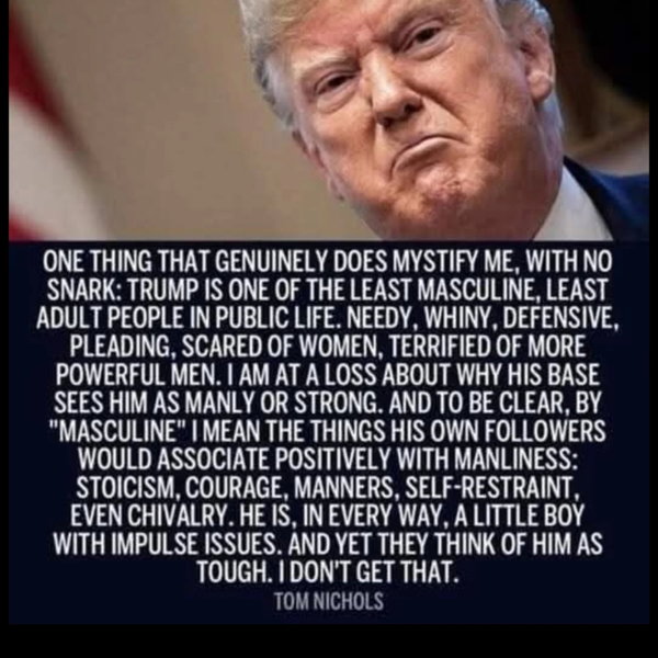 djt_meme-268.jpg