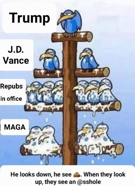 djt_meme-51.jpg