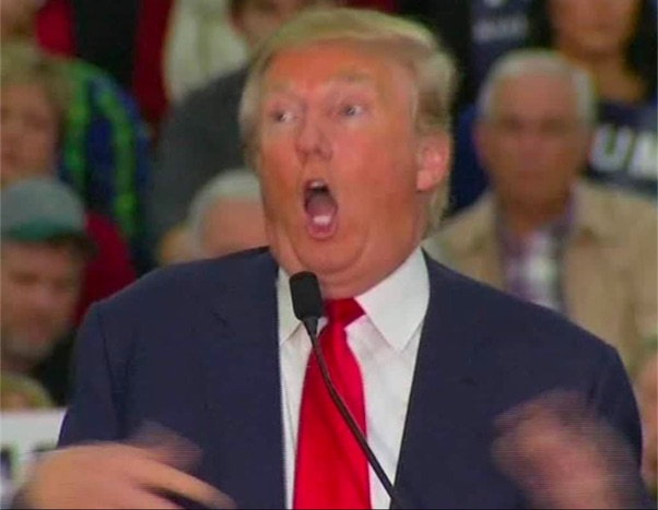 djt_meme-57.jpg