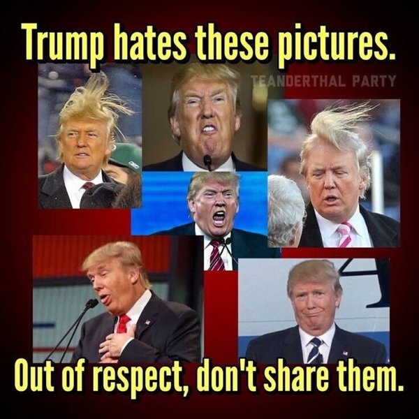 djt_meme-6.jpg