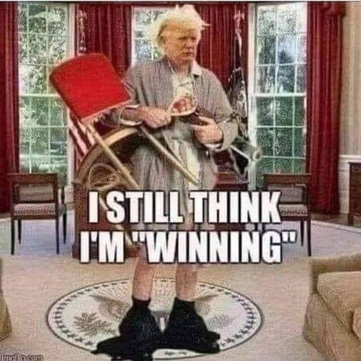 djt_meme-79.jpg