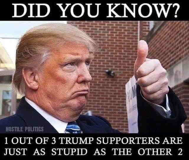 djt_meme-95.jpg