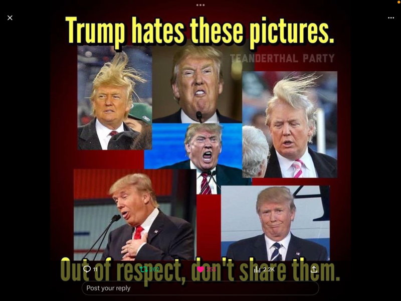 djt_meme-96.jpg