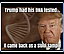 djt_meme-141.jpg